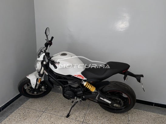 DUCATI Monster 796 797 occasion  1544976