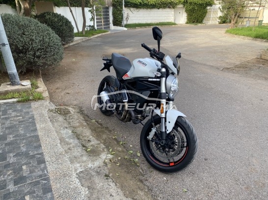DUCATI Monster 796 797 occasion  1544964