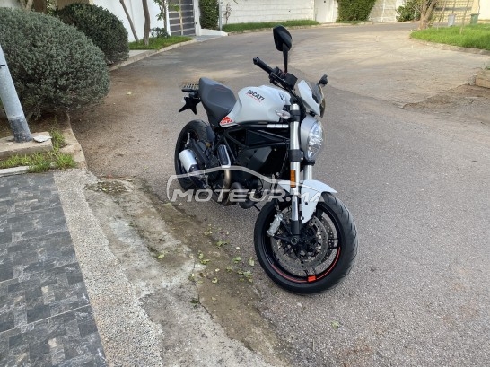 DUCATI Monster 796 797 occasion  1544974