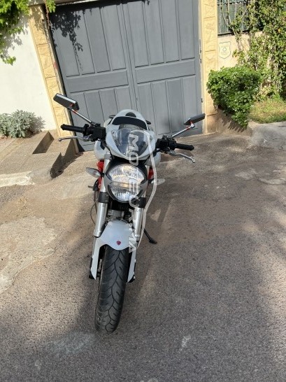 DUCATI Monster 796 occasion  1845783