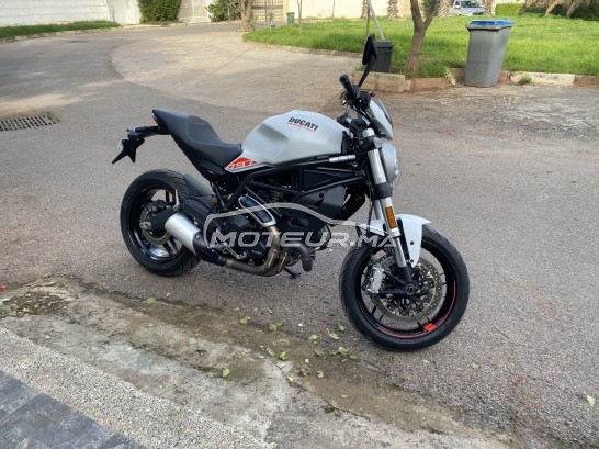 DUCATI Monster 796 797 occasion  1544963