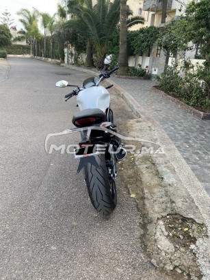 DUCATI Monster 796 797 occasion  1544966