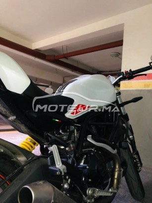 DUCATI Monster 750 occasion  1706309