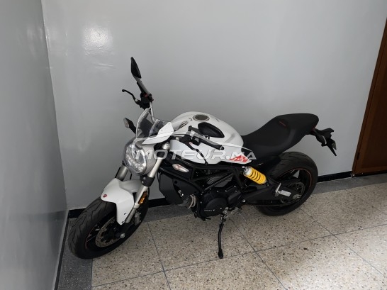 DUCATI Monster 796 797 occasion  1544975
