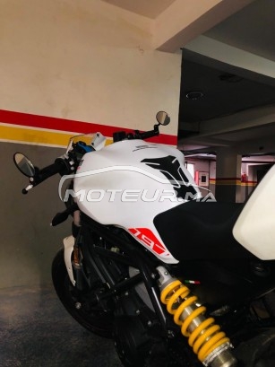 DUCATI Monster 750 occasion  1706304