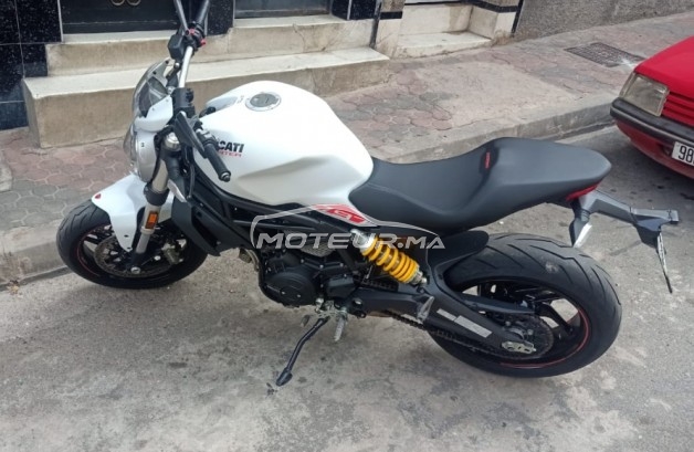 دوكاتي مونستير 796 797 مستعملة 1494988