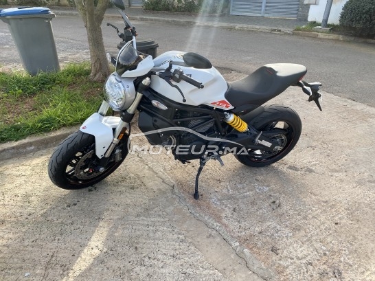 DUCATI Monster 796 797 occasion  1544972