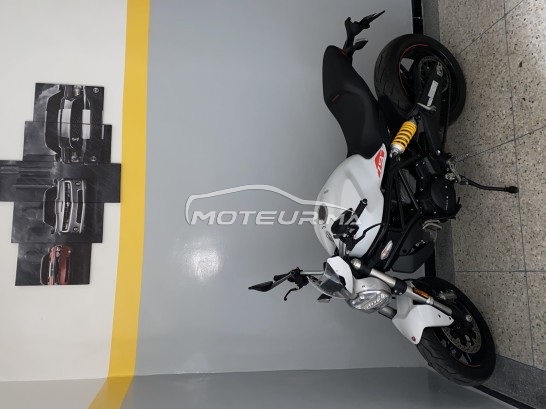 DUCATI Monster 796 797 occasion  1544973