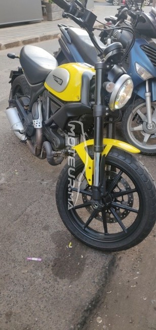 DUCATI Scrambler 800 Icon occasion  1425139