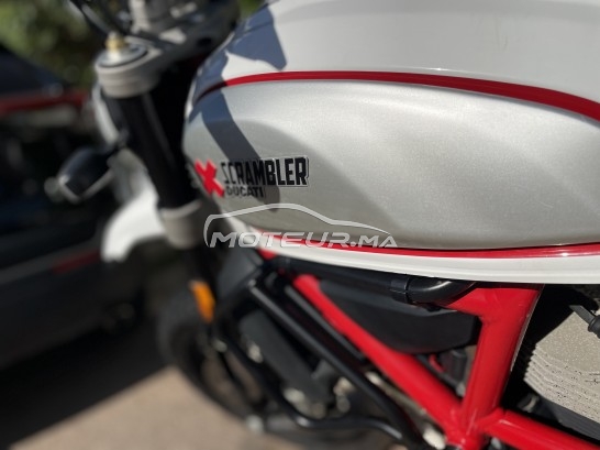 DUCATI Scrambler 800 occasion  1668360