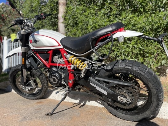 DUCATI Scrambler 800 occasion  1668358