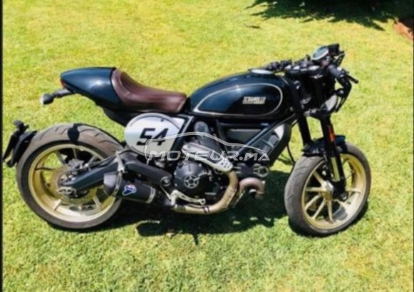 DUCATI Scrambler 800 occasion  1243855