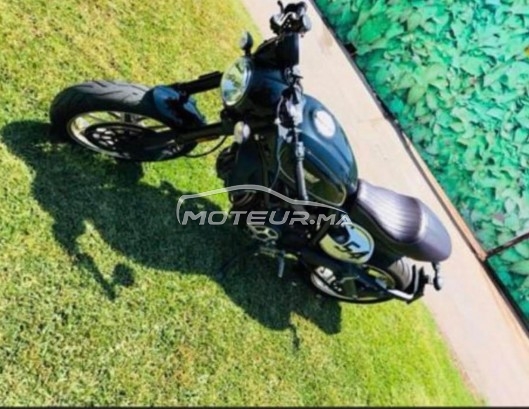 DUCATI Scrambler 800 occasion  1243768