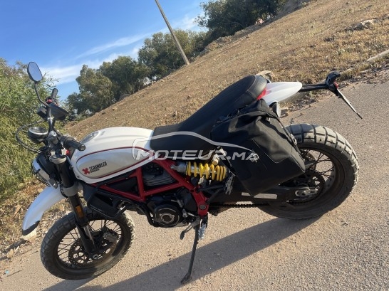 DUCATI Scrambler 800 occasion  1668359