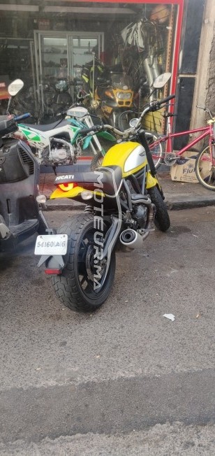 DUCATI Scrambler 800 Icon occasion  1425140