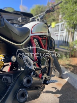 DUCATI Scrambler 800 occasion  1668356