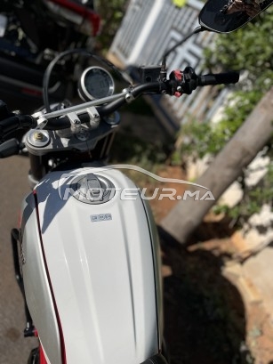 DUCATI Scrambler 800 occasion  1668357