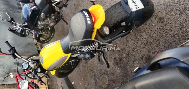 DUCATI Scrambler 800 Icon occasion  1425138