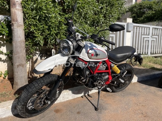 DUCATI Scrambler 800 occasion  1668361