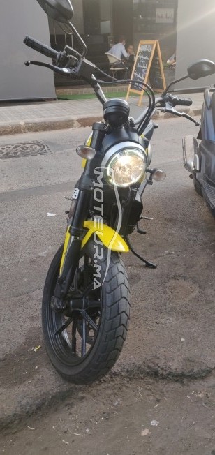 DUCATI Scrambler 800 Icon occasion  1425354