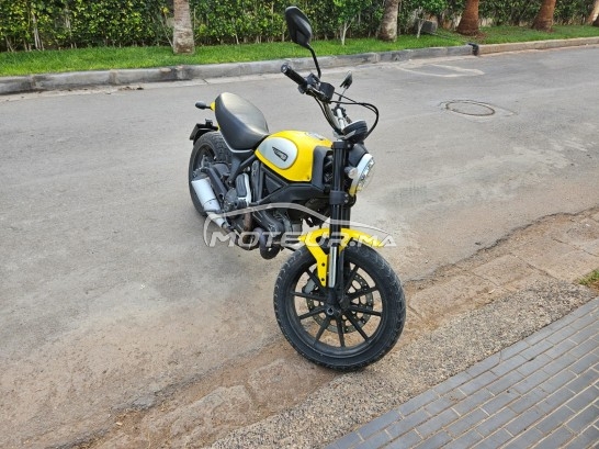 DUCATI Scrambler 800 Icon occasion  1953801
