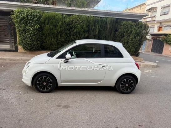 فيات 500 مستعملة 2904627