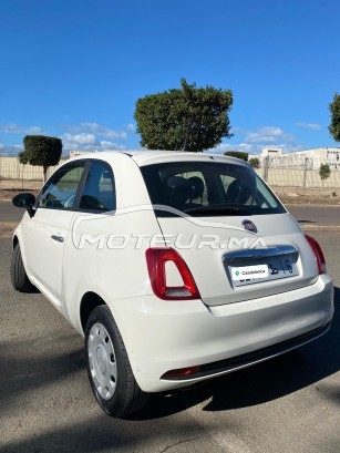 فيات 500 1.2 مستعملة 2009284