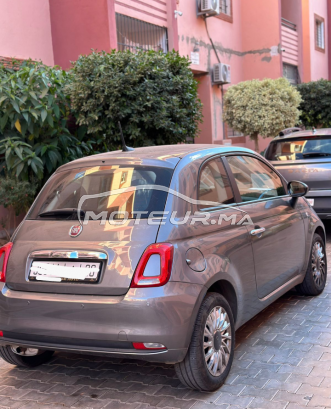 فيات 500 2023 مستعملة 2603559