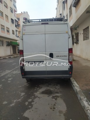 فيات دوكاتو مستعملة 1566125