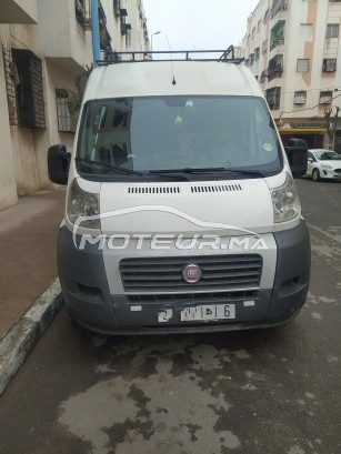 فيات دوكاتو مستعملة 1567132