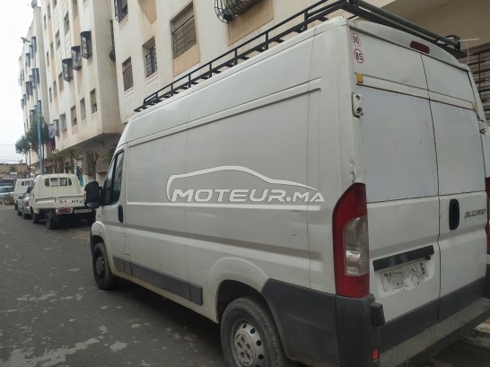 فيات دوكاتو مستعملة 1566124