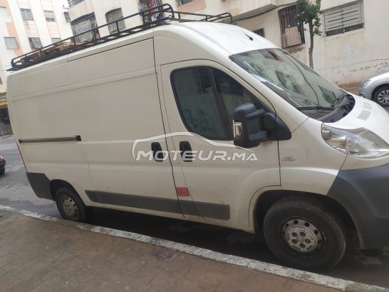 فيات دوكاتو مستعملة 1566127