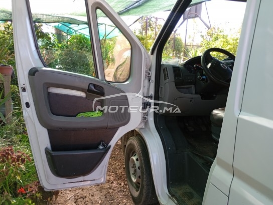 فيات دوكاتو مستعملة 2039589