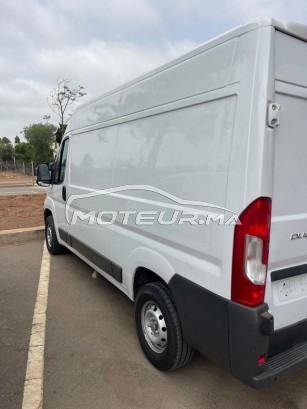 FIAT Ducato occasion 1698491