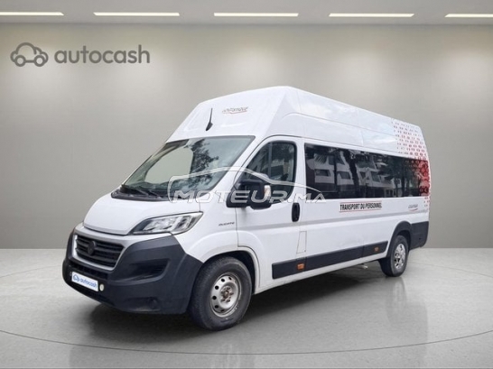 سيارة في المغرب FIAT Ducato - 485918
