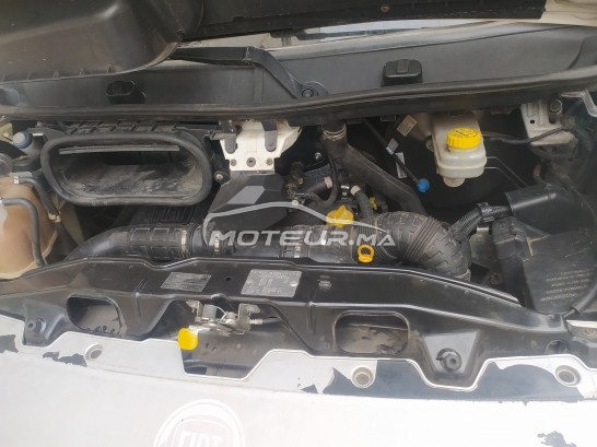 فيات دوكاتو مستعملة 1566128