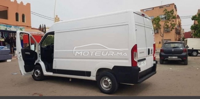 فيات دوكاتو مستعملة 1550148