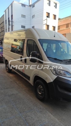 فيات دوكاتو مستعملة 1593379