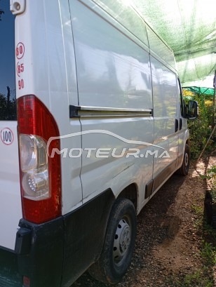 فيات دوكاتو مستعملة 2039584