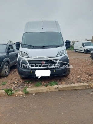 FIAT Ducato occasion 1574812