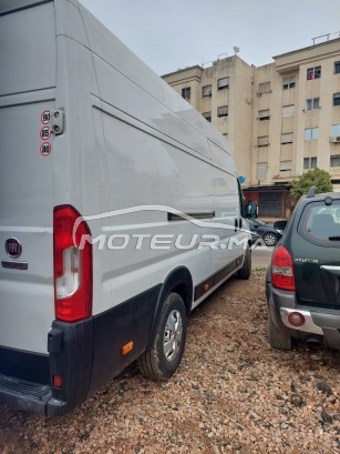 FIAT Ducato occasion 1574802