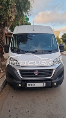 FIAT Ducato 2020 occasion 2414532