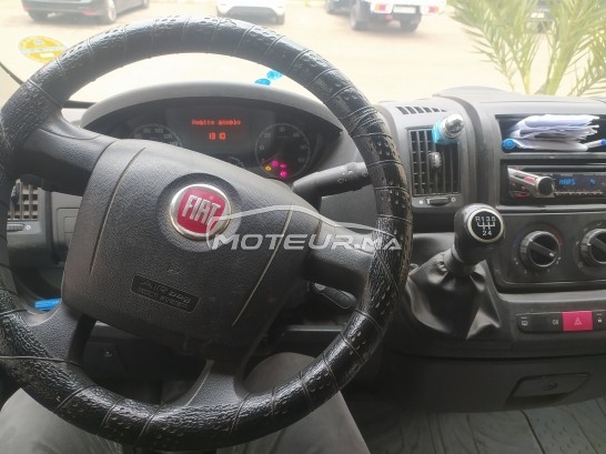 فيات دوكاتو مستعملة 1566132