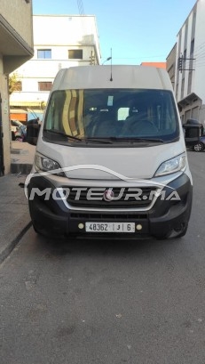 فيات دوكاتو مستعملة 1593381