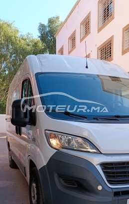 FIAT Ducato occasion 1698498