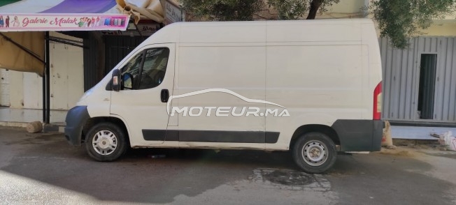 فيات دوكاتو مستعملة 1592934