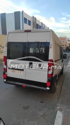 فيات دوكاتو مستعملة 1593380