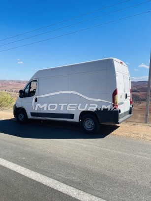 فيات دوكاتو مستعملة 1757814