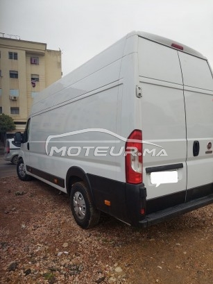 FIAT Ducato occasion 1574810