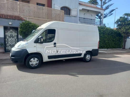 FIAT Ducato occasion 1611996
